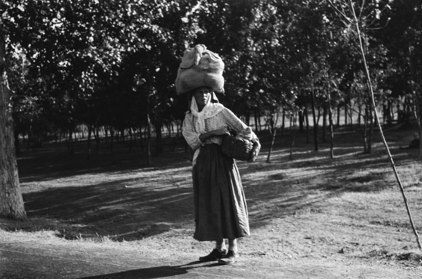 imazhet-e-rralla-te-vitit-1960-ne-shqiperi-nga-zofia-rydet